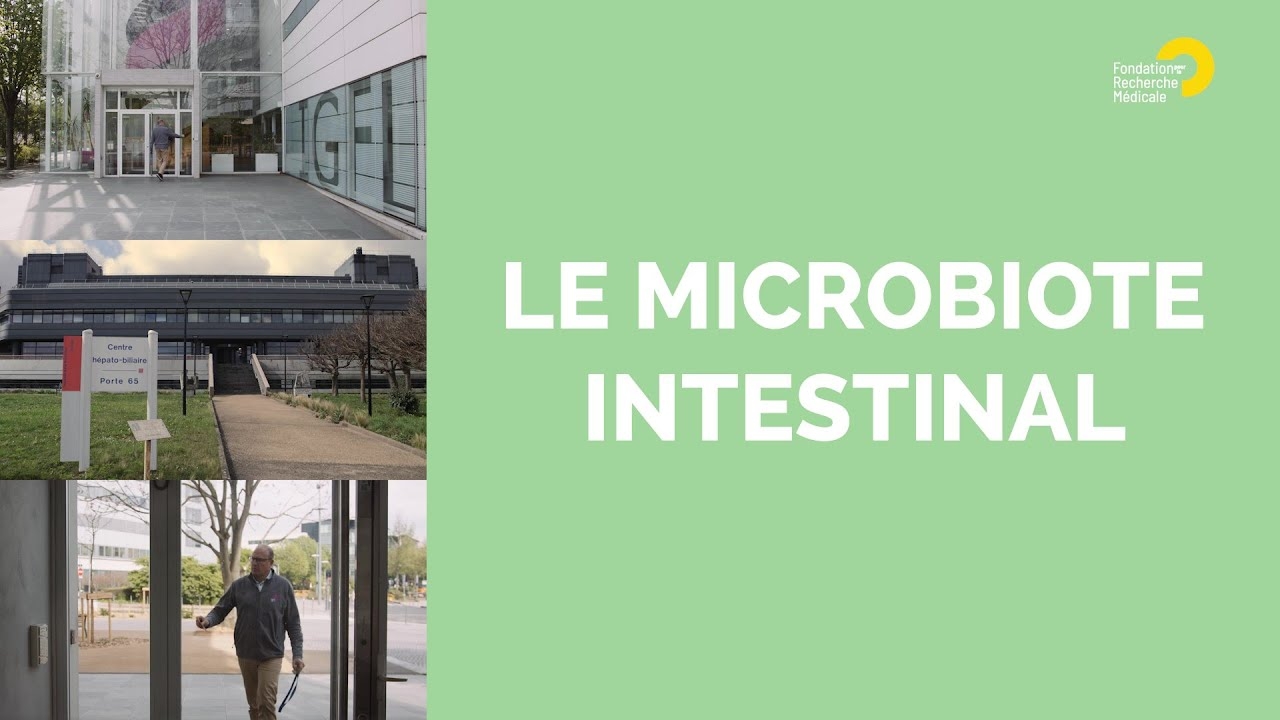 Le microbiote intestinal - Vos dons en action : le projet de François Leulier
