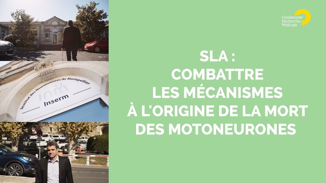 SLA : combattre les mécanismes à l'origine de la mort des motoneurones