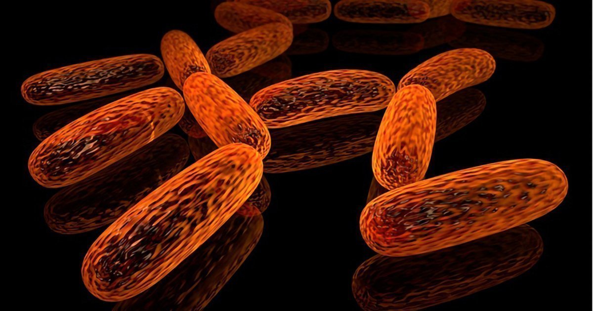 INFECTIONS NOSOCOMIALES: L'anti-biofilm nano qui repousse les